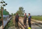Jalan TMMD Sragen Favorit Warga, Kasdim Nikmati Joging Pagi di Sawah