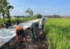 TNI dan Warga Sragen Bersinergi Rampungkan Jalan Cor TMMD