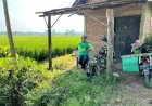Jalan Beton TMMD Sragen Naikkan Nilai Tanah dan Perekonomian Warga