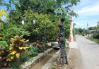 TMMD Sragen: TNI dan Warga Sragen, Kebersamaan Petik Pepaya di Desa Puro