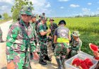 Semangka Penyejuk Semangat Satgas TMMD Sragen di Tengah Terik Matahari